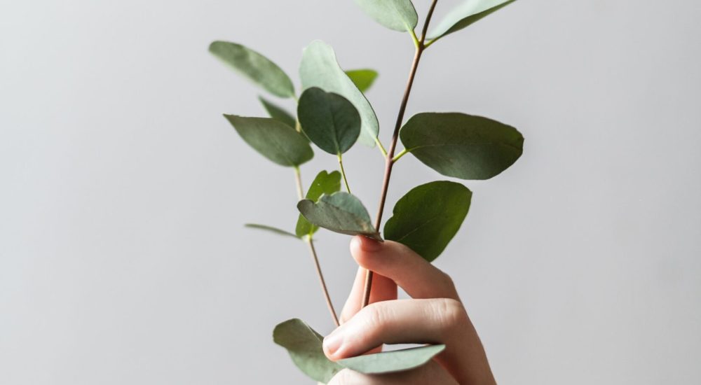 alex-lvrs-4N5huJDOydQ-unsplash