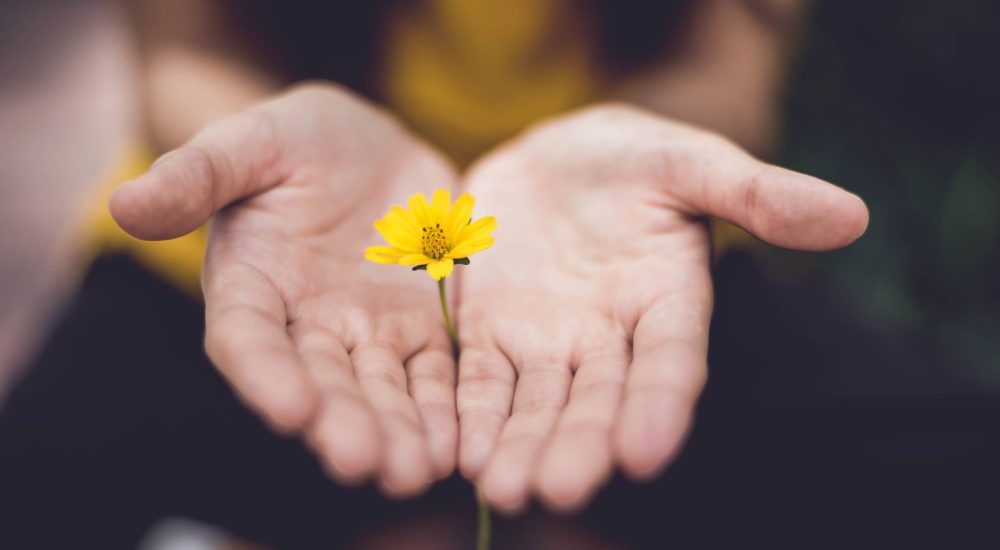 lina-trochez-ktPKyUs3Qjs-unsplash